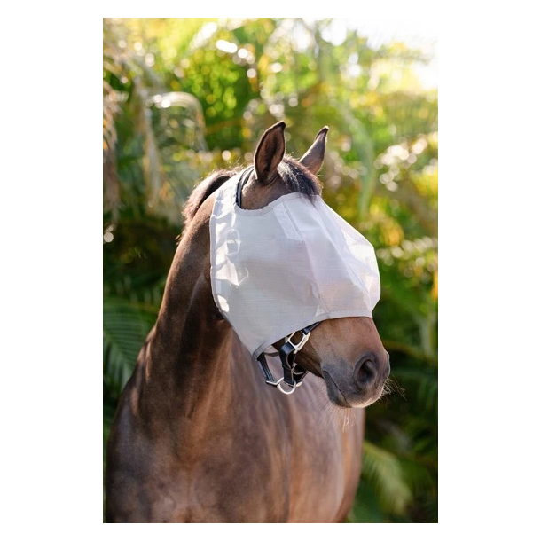 Amigo No Ears flymask fluemaske