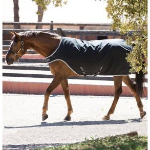 Horseware Amigo Walker medium 200 gr