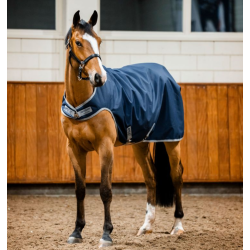 Amigo Ripstop 900D walker rug (100 g)