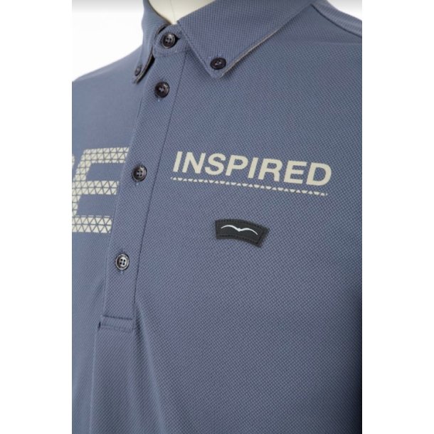 Animo Alied polo herre