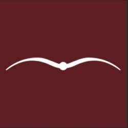 Animo Lanna kviltet vest dame