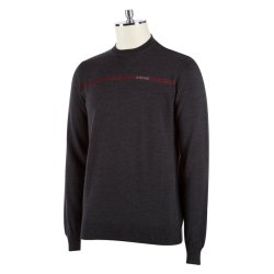 Animo Reimar herre uld sweater W20
