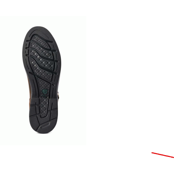 Ariat WMS Harper H20 st�vler m sn�rer