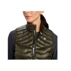 Ariat Ideal dunvest dame