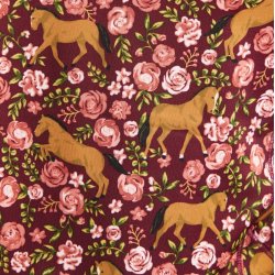 Ariat Lowell funktionsbluse dame AW21