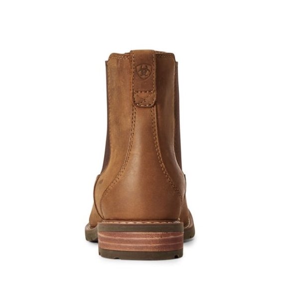 Ariat Wexford H20 Herre