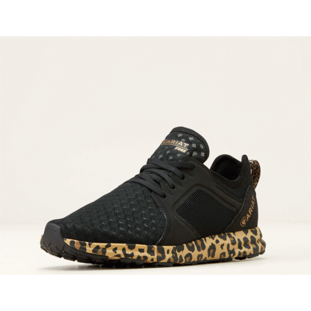 Ariat Fuse trainer AW23