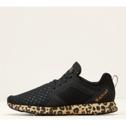 Ariat Fuse trainer AW23