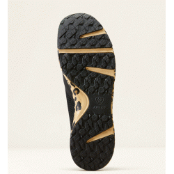 Ariat Fuse trainer AW23