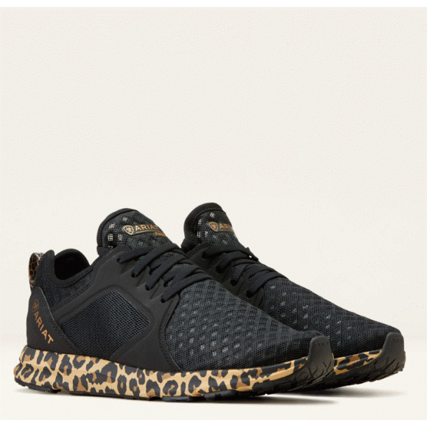 Ariat Fuse trainer AW23