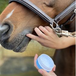 Bacxitium� Desinficerende s�rsalve (100 ml) 