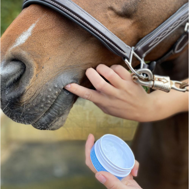 Bacxitium� Desinficerende s�rsalve (100 ml) 