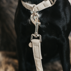 Kentucky Dog Lead Wool hundesnor