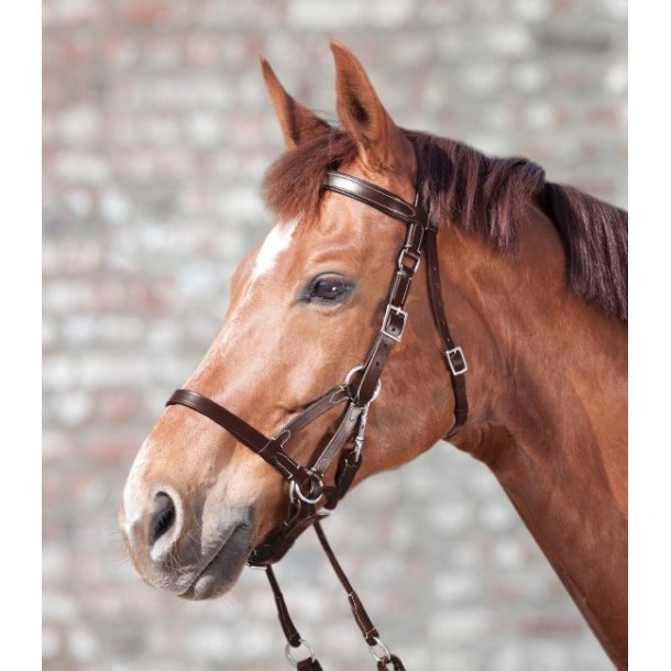 Star bidl�s trense