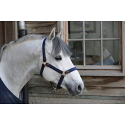 Kentucky Plaited Nylon Grime