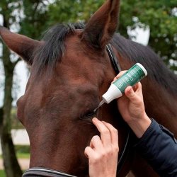 Blue Hors Eye Clean 100 ml
