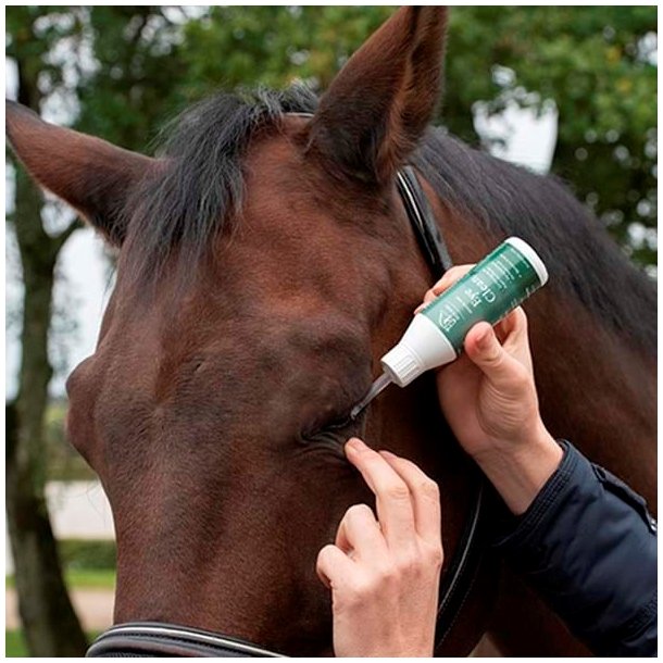 Blue Hors Eye Clean 100 ml
