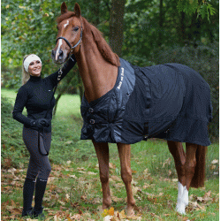 Back on Track netd�kken 