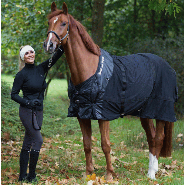 Back on Track netd�kken 