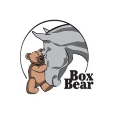 BoxBear safety strap