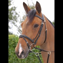 Dyon Working "Fancy" flash trense m. kombineret n�seb�nd