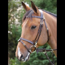 Dyon Working Flat Flash Trense - SPECIAL EDITION