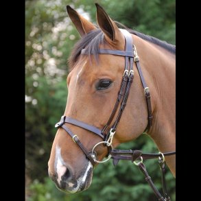 Dyon Working Flat Flash Trense - SPECIAL EDITION