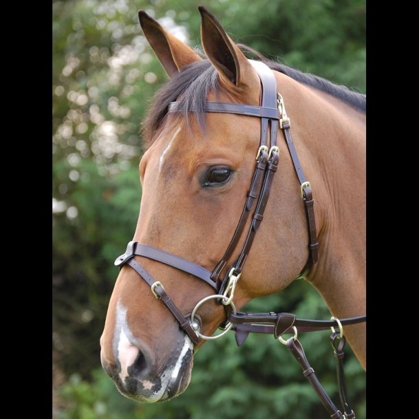 Dyon Working Flat Flash Trense - SPECIAL EDITION