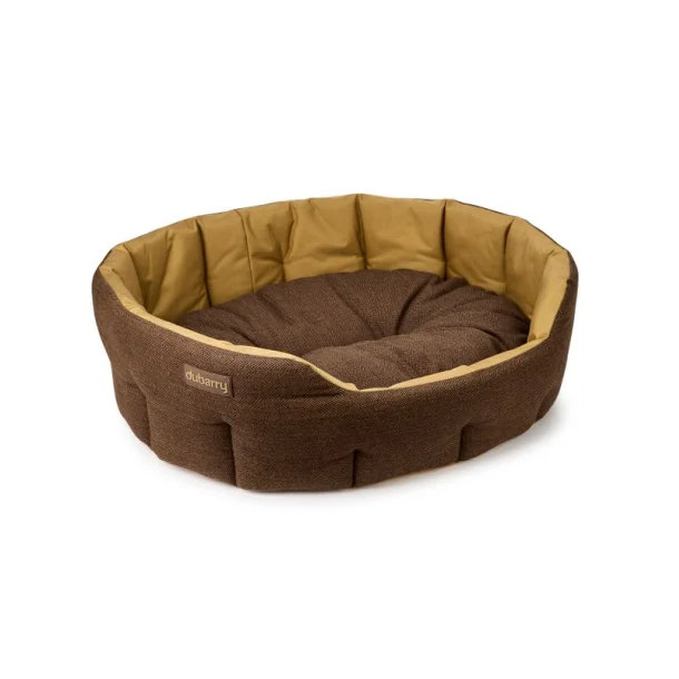 Dubarry Buster tweed hundeseng