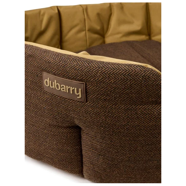 Dubarry Buster tweed hundeseng