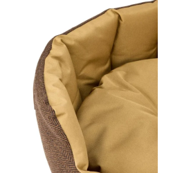 Dubarry Buster tweed hundeseng