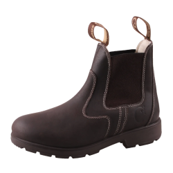 Campus Cambridge wool kort st�vle