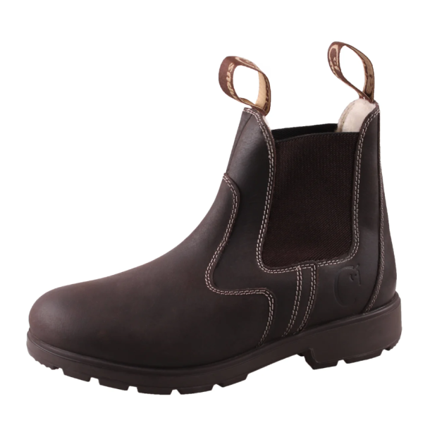 Campus Cambridge wool kort st�vle