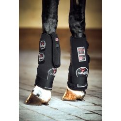 Catago Fir Tech staldgamache