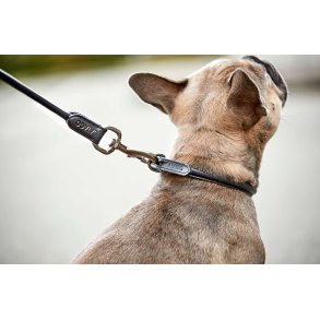 Catago rundsyet l�der hundesnor 