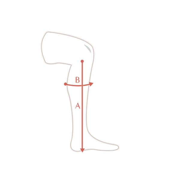 CavalLinus Dressage ridest�vle