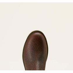 Ariat Wexford Bison Chelsea kort st�vle