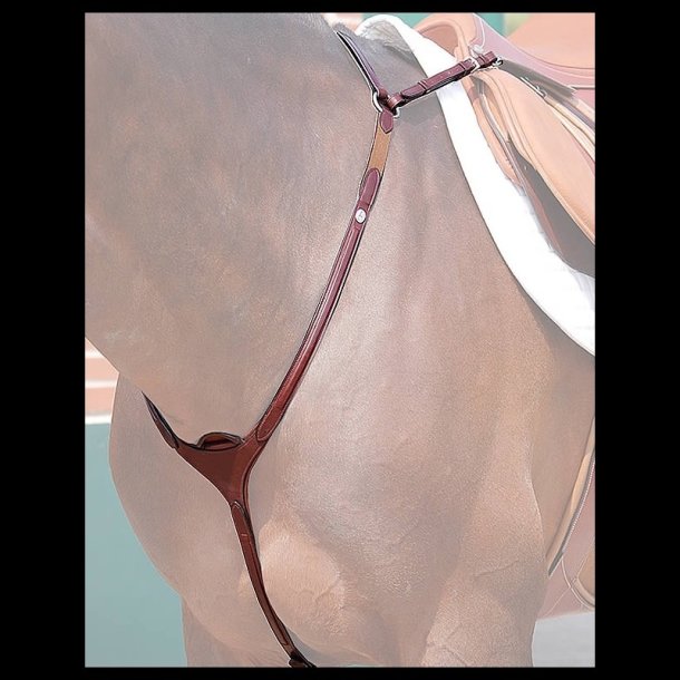 Dyon NE Fort�j med bro