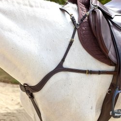 Dyon Anatomisk Fort�j