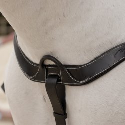 Dyon Anatomisk Fort�j