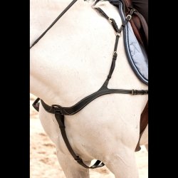 Dyon Anatomisk Fort�j