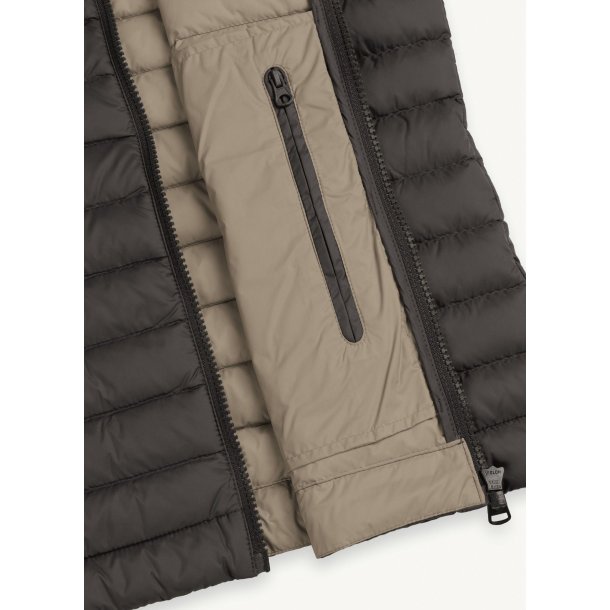 Colmar dunvest herre (1278)