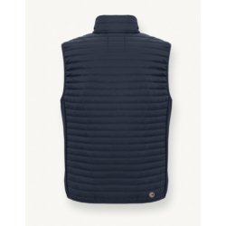 Colmar vest herre