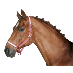 Covalliero man elastikker  (500 stk)