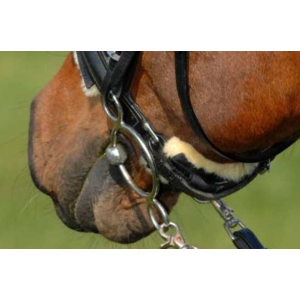 CHRIST lam til skumk�de