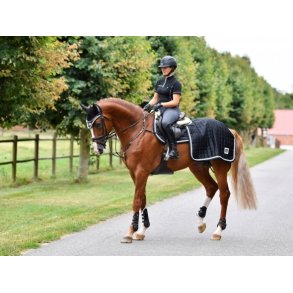 SD Diamond Edition Exercise Sheet