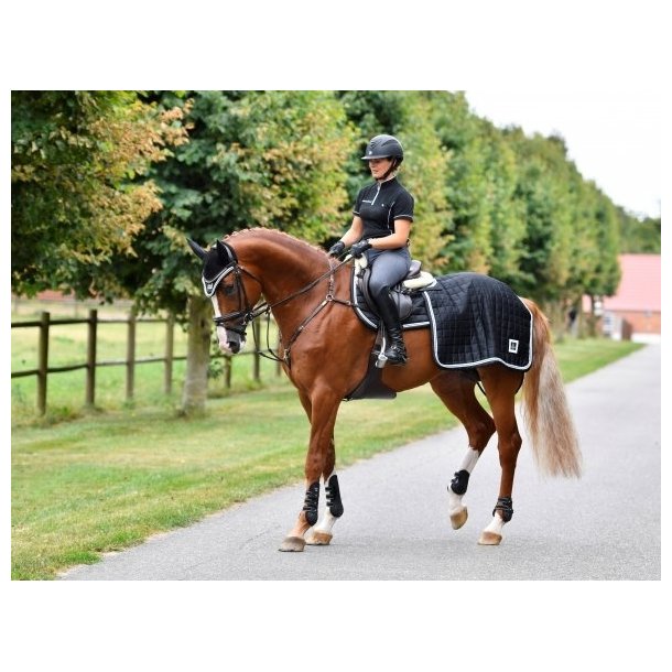 SD Diamond Edition Exercise Sheet