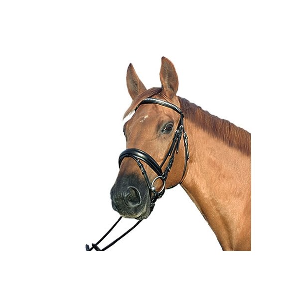 Euroriding Dallas Clincher Trense (�ldre fra lager med patina)