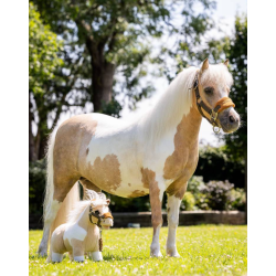 LeMieux Mini pony Lemon 