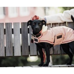 Kentucky Dog Coat waterproof (160gr)